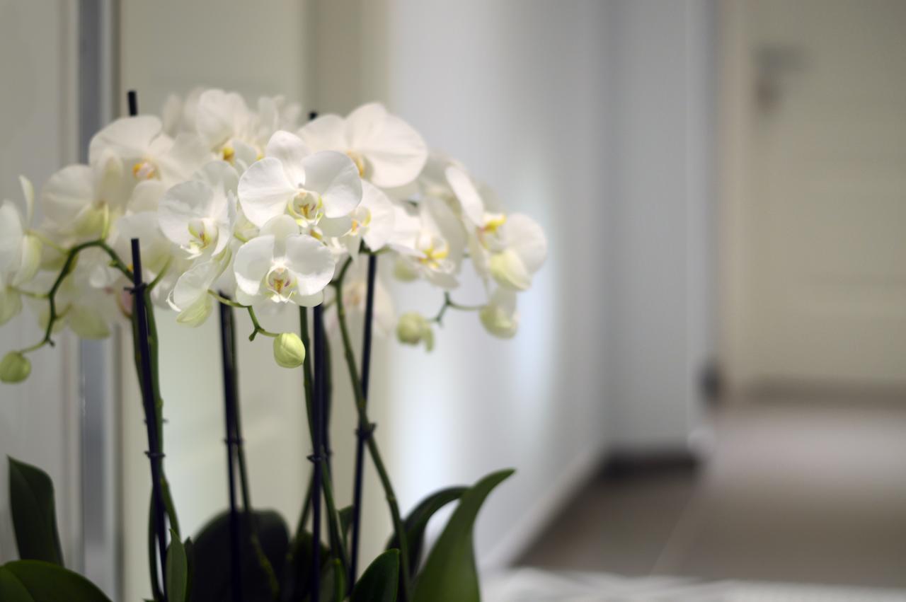 Barbarella Suite Napoli Eksteriør billede
